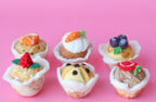 felt raspberry white chocolate muffin, strawberry muffin, orange poppyseed muffin, blueberry muffin, carrot cake muffin, choc chip muffin toy handmade pretend play food bakery muffin