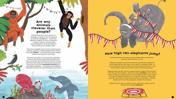 There’s No Such Thing as a Silly Question - Mike/Guilherme Rampton/Karsten