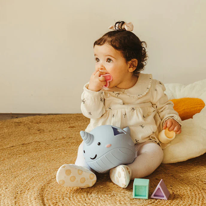 Pastel Narwhal Shape Sorter - Jellystone Designs