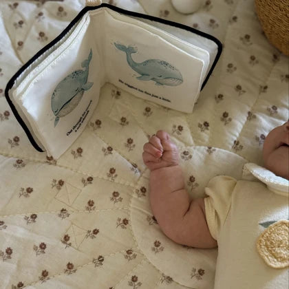Wally the Whale & Crinkle Sensory Book Set - Little Lamb Kind