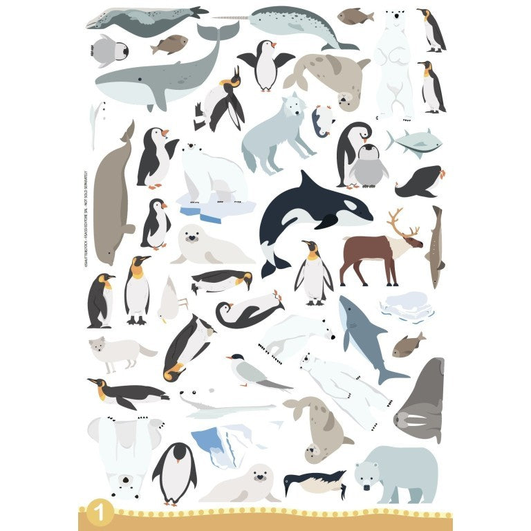 Children's animal learning and colouring activity book