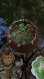 Creepy Crawlie Potion Kit - Potion Playground