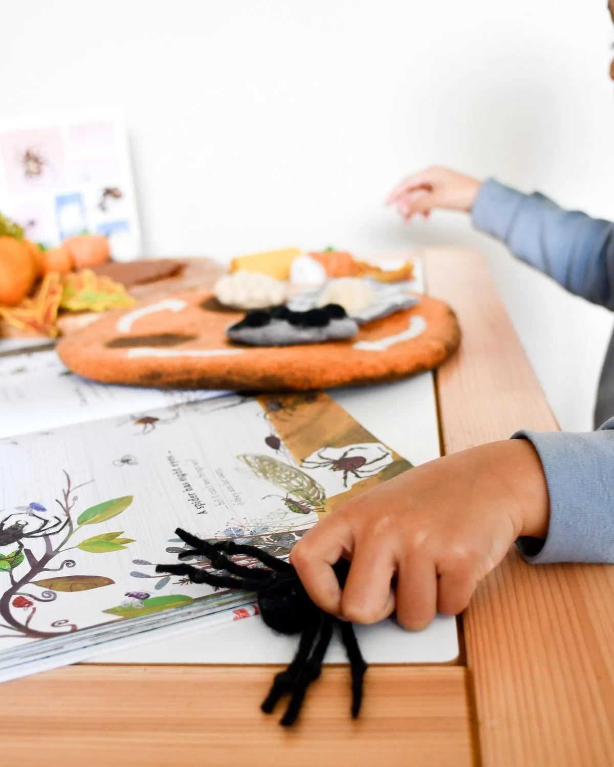 Lifecycle of Redback Spider Felt Set - Tara Treasures