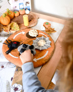 Lifecycle of Redback Spider Felt Set - Tara Treasures