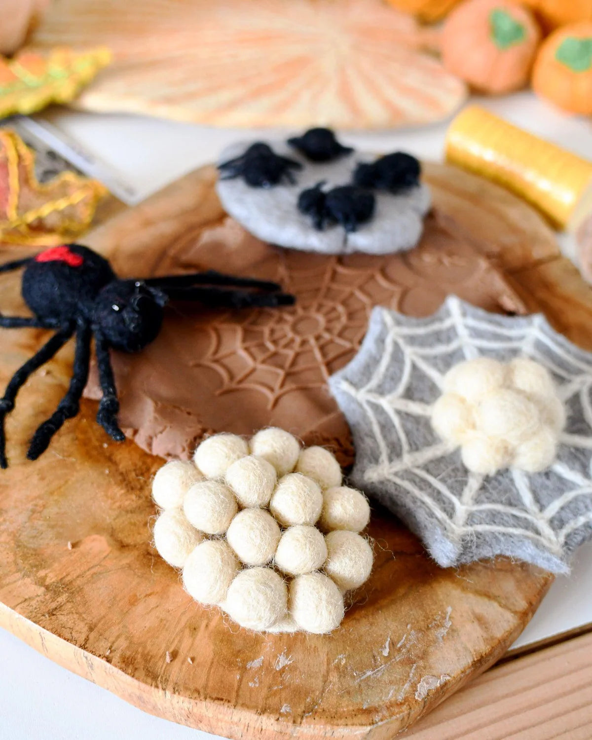 Lifecycle of Redback Spider Felt Set - Tara Treasures