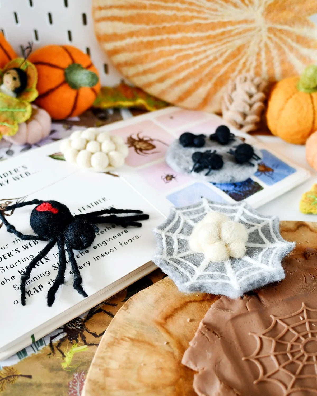 Lifecycle of Redback Spider Felt Set - Tara Treasures