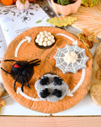 Lifecycle of Redback Spider Felt Set - Tara Treasures