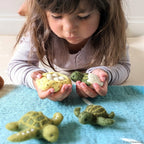 Lifecycle of Green Sea Turtle Felt Set - Tara Treasures