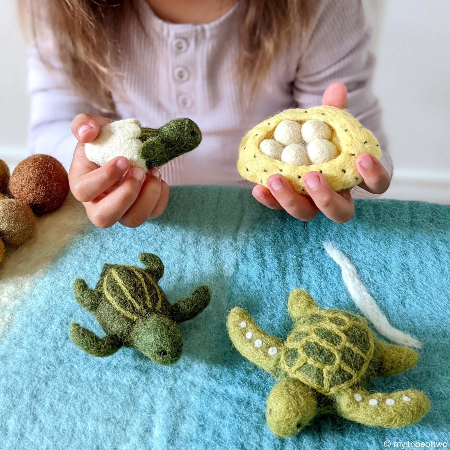 Lifecycle of Green Sea Turtle Felt Set - Tara Treasures